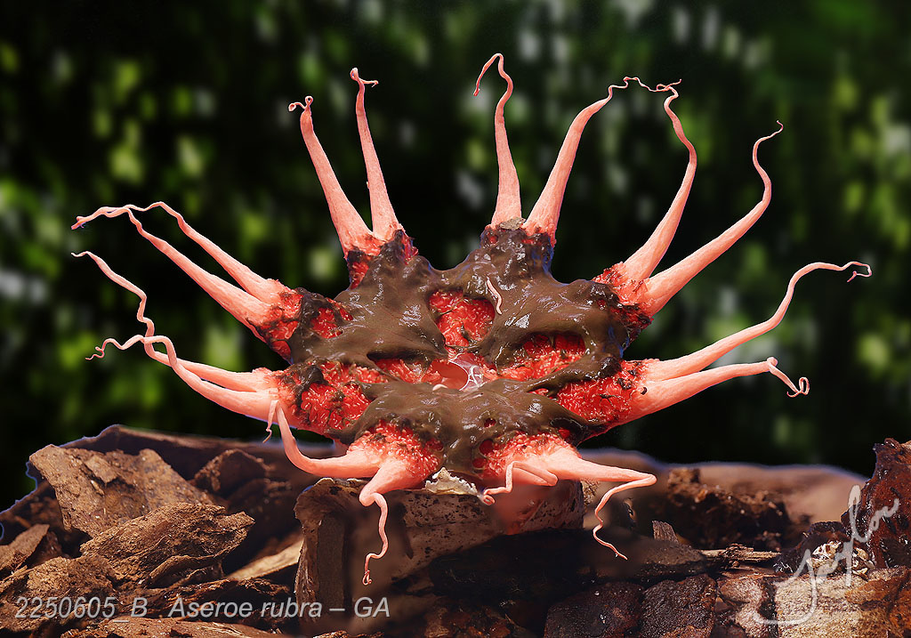 Taylor's Top One Hundred photos is loading . . .